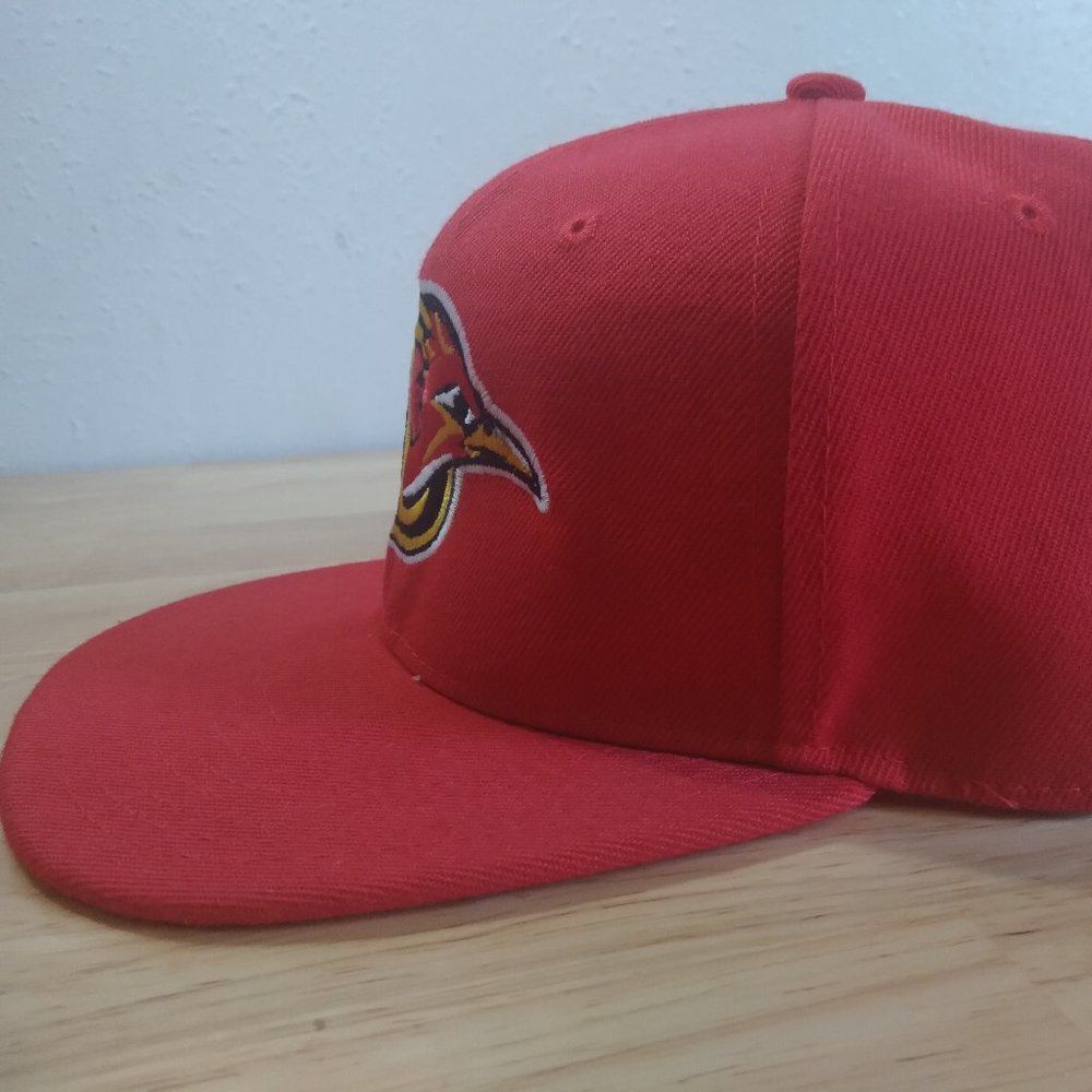 Vintage Delmarva Shorebirds Minor League Hat - Picture 2 of 7